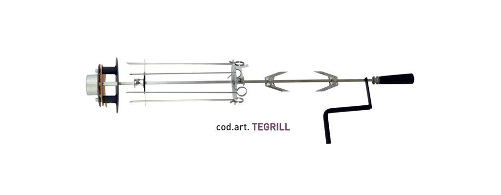 Rôtissoire pour foyers thermiques CTM sans panier