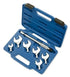 Set di 6 chiavi dinamometriche da 17-22-24-26-27-29