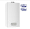Caldaia Chaffoteaux A Camera Aperta Metano Inoa Ultra 25 Kw CF Low Nox