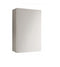 Caldaia A Condesazione Ariston Cares Premium Ext 25 GPL Per Esterno Completa di Kit Scarico Fumi