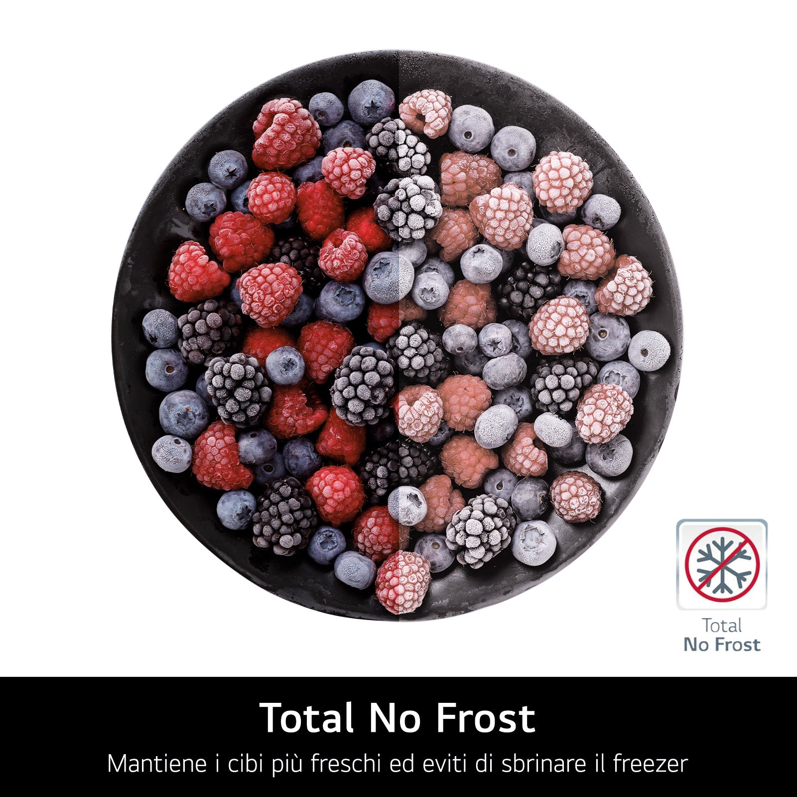 Frigorifero Side-by-Side Libera Installazione LG GSBC40PYPE 664L Classe E Prime Silver