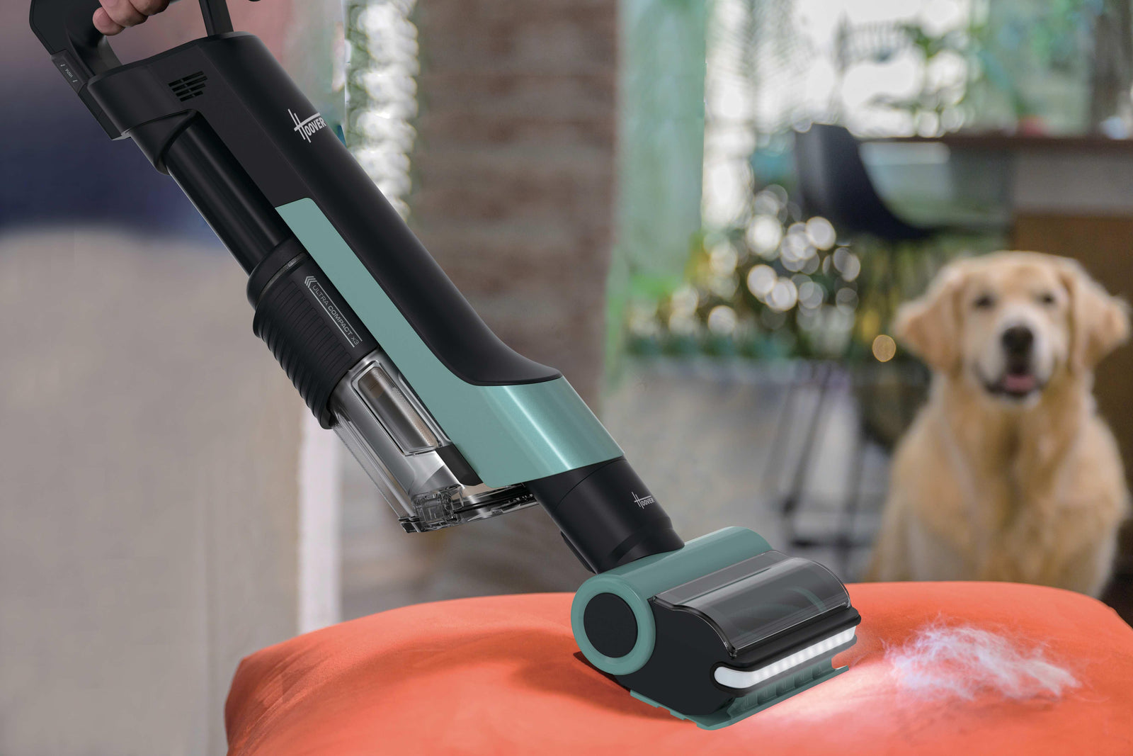 Scopa Elettrica Senza Filo Hoover HF201P 011  Senza Sacchetto 1L 195 W Blu